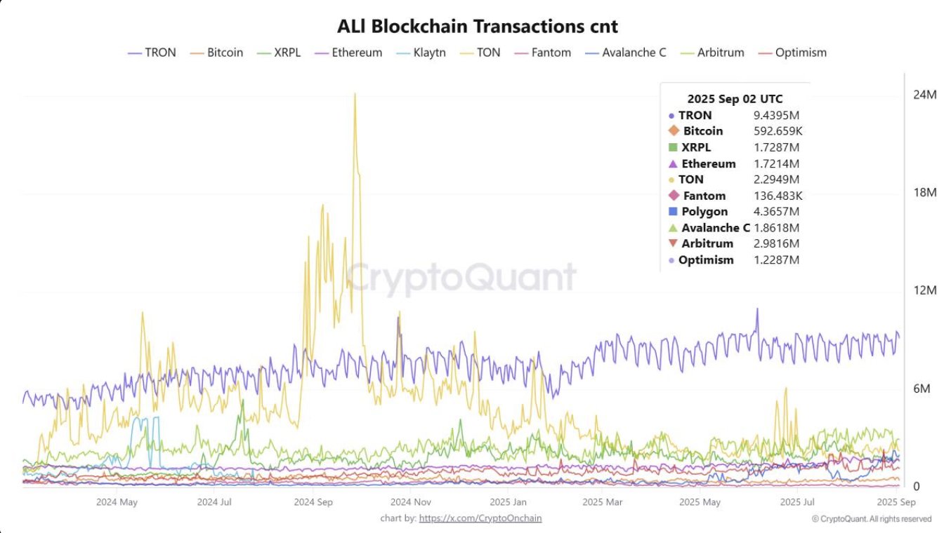 All chain transactions count data