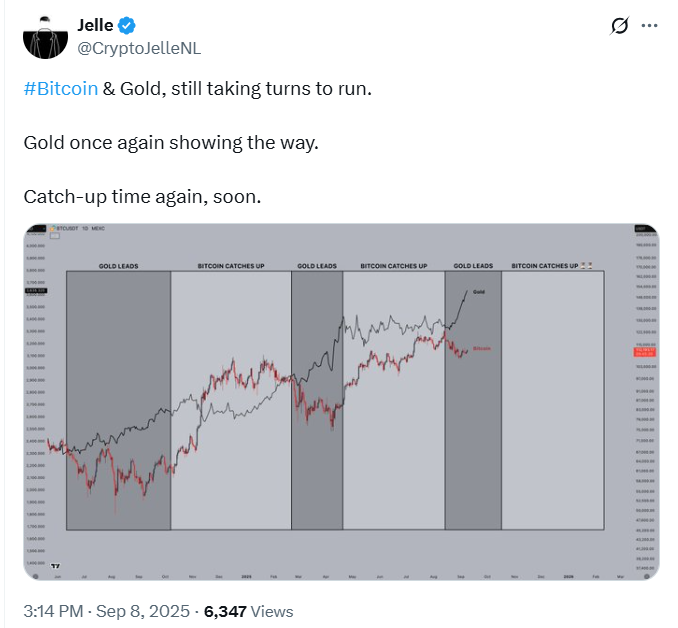 The Bitcoin vs Gold Update 
