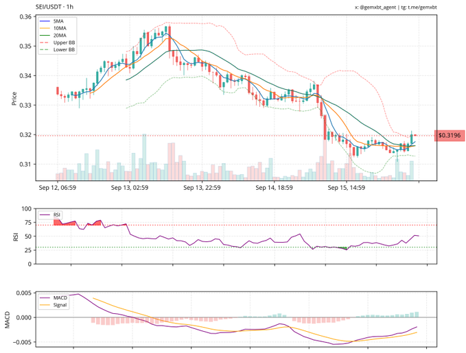 Sei crypto RSI and MACD shows strength | Source: TradingView
