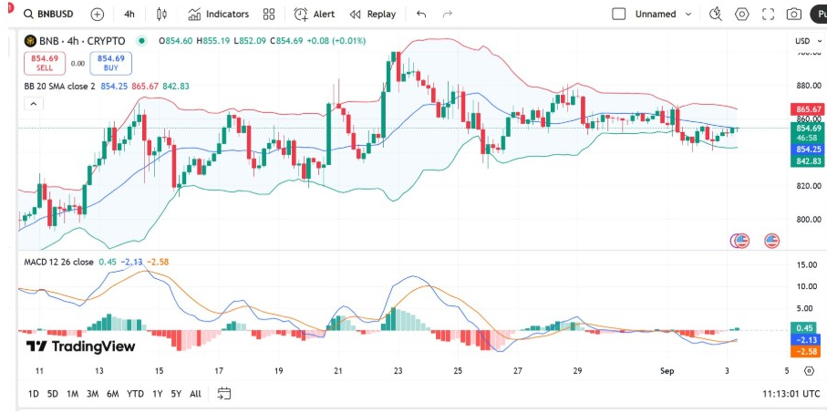 BNBUSD Chart