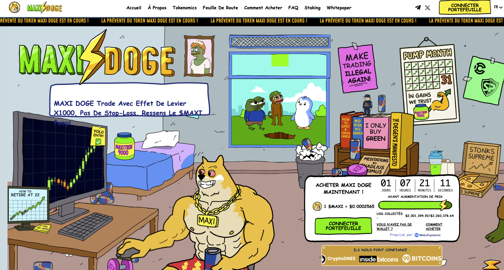 maxi-doge
