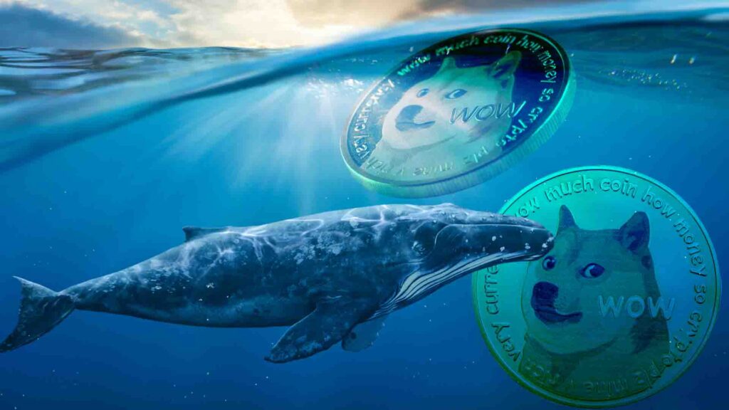 ราคา Dogecoin ยืนเหนือ 0.21 ดอลลาร์อย่างแข็งแกร่ง ขณะที่วาฬกวาดเงินไป 100 ล้านดอลลาร์