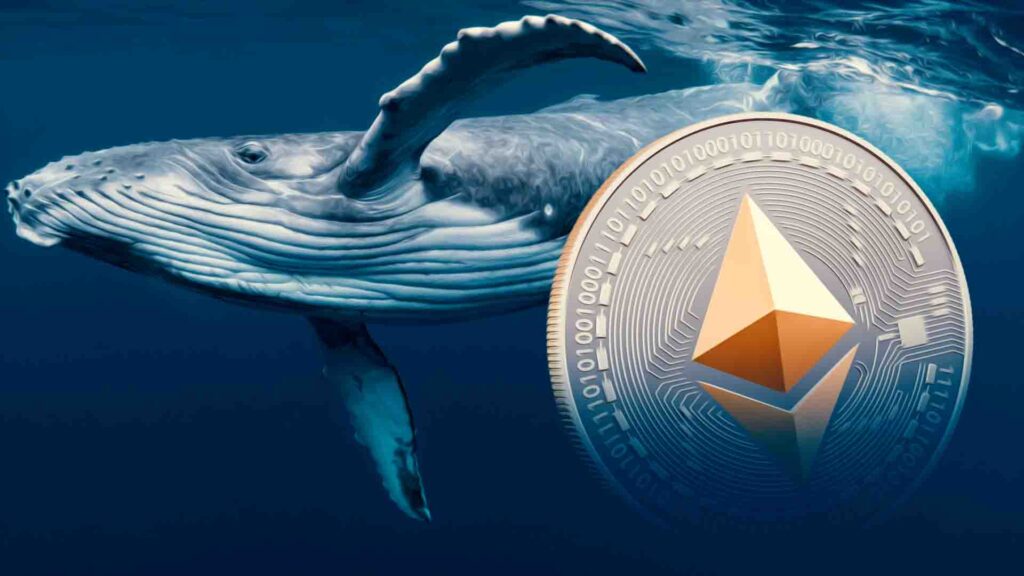 Ethereum Whales Accumulate as ETFs Record Inflows, StarkNet Suffers Outage
