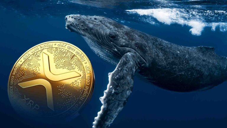XRP Price