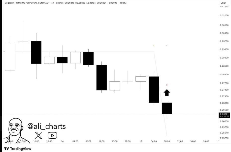 DOGEUSD 4-Hr Chart | Source: X