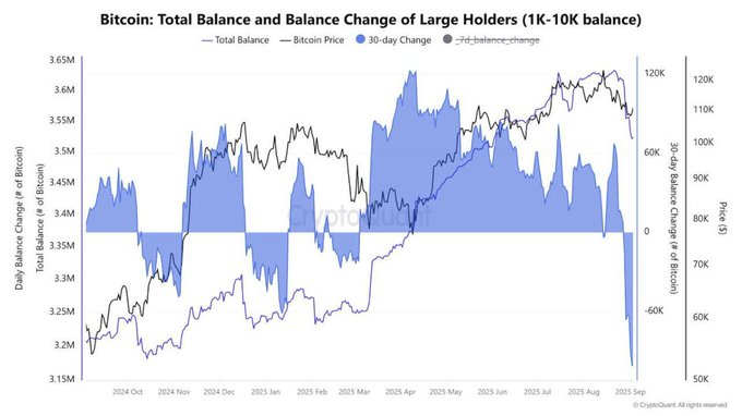 Bitcoin total balance and balance change of large holders