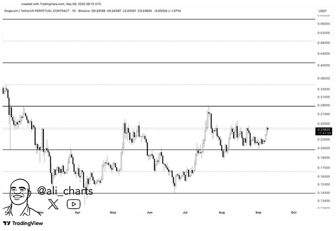 dogecoin price chart