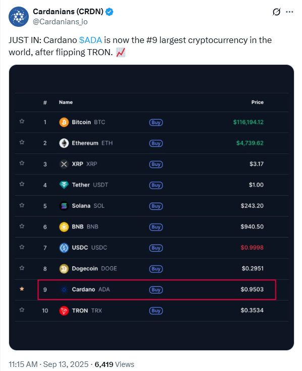 cardano news