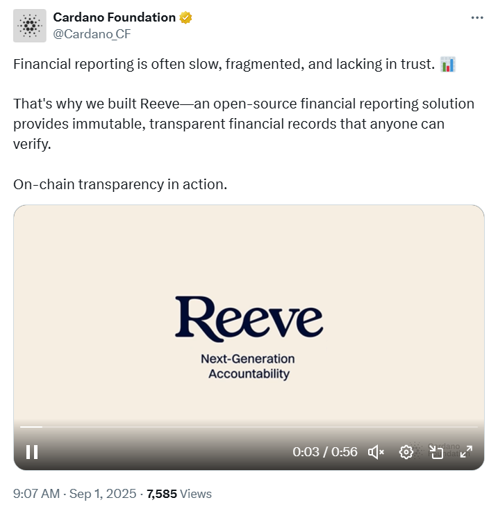Reeeve Accounting Protocol Showcase