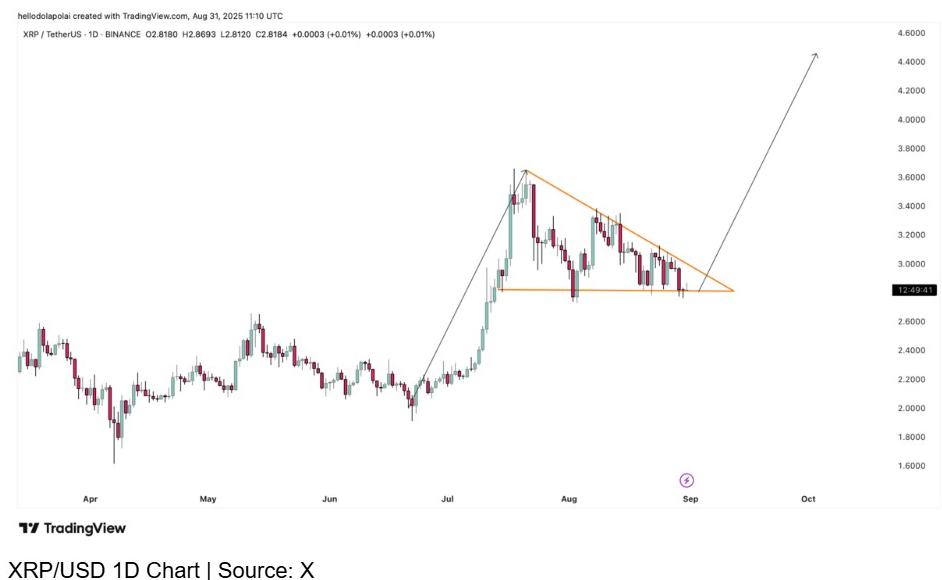 XRP/USD 1D Chart