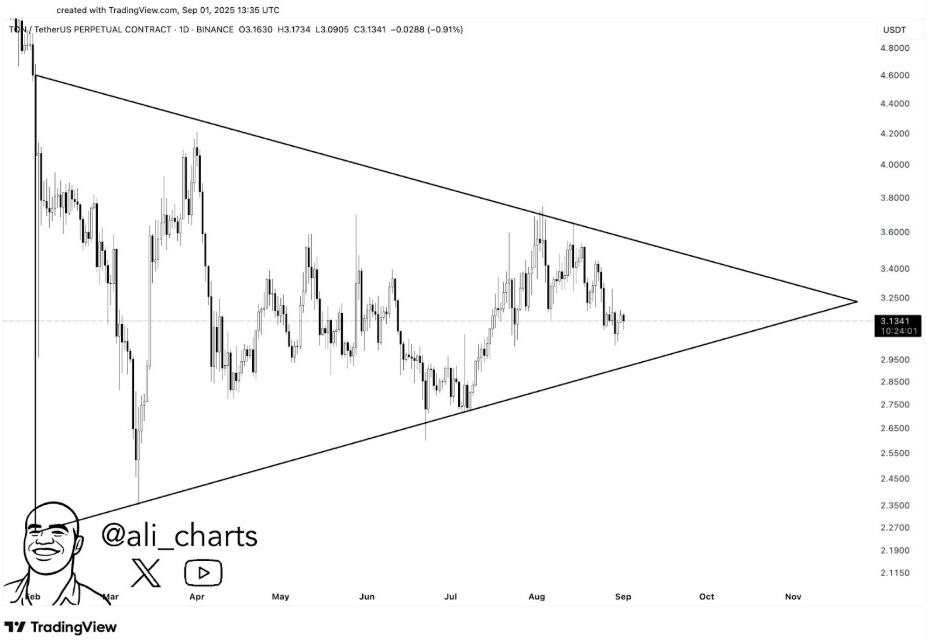 TONUSD 1-Day Chart