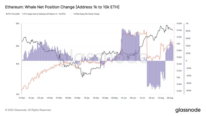 Ethereum whales increase holdings as price struggles