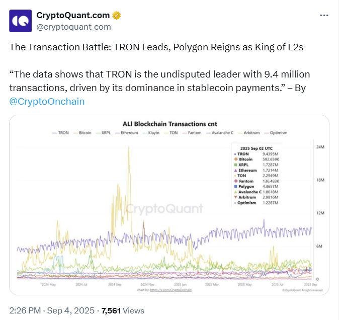 XRP Ledger Bags Rare Milestone