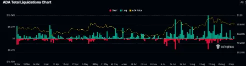 Cardano Liquidation Data