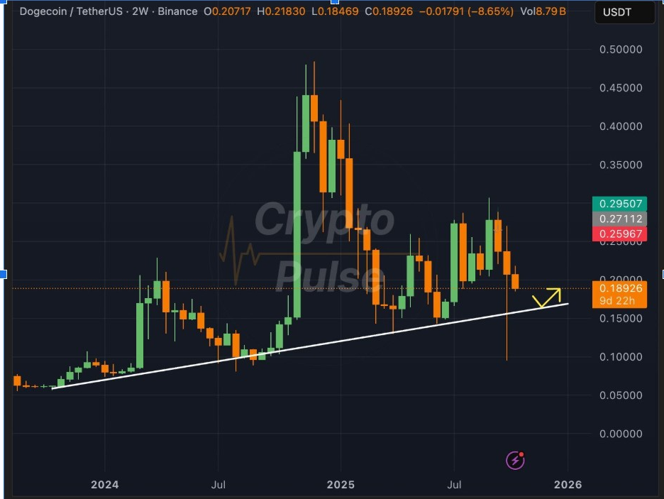 Dogecoin/USD 2W Chart | Source: CryptoPulse, X