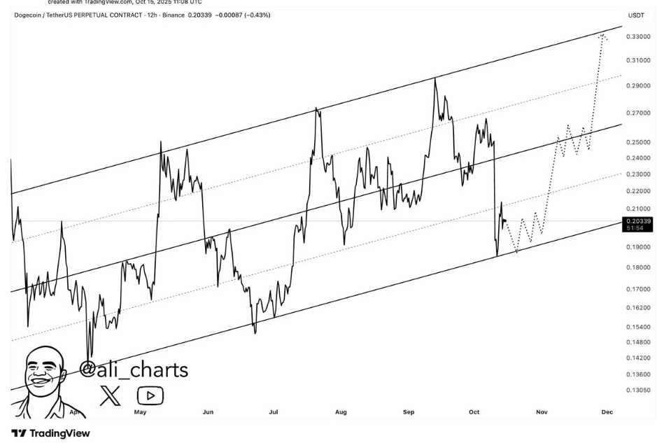 DOGEUSD 12-H Chart | Source: Ali, X