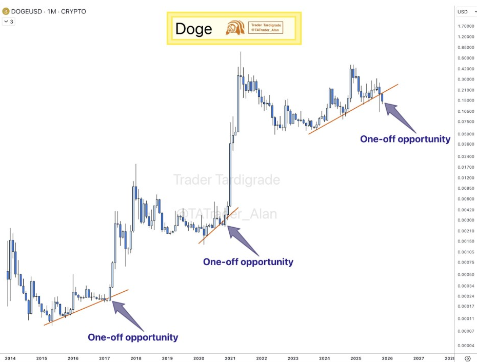 แผนภูมิ DOGEUSD 1 ล้าน | ที่มา: X