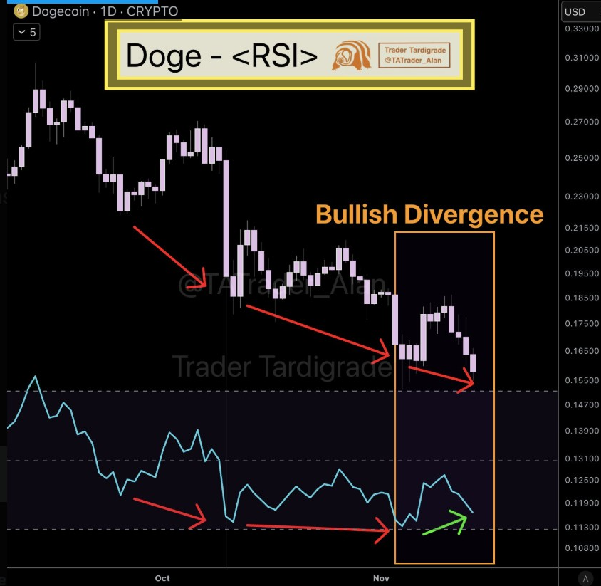 DOGEUSD 1D Chart | Source: Tardigrade, X