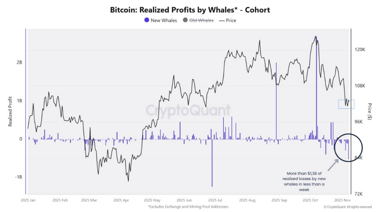 New Whales Capitulation. Source: CryptoQuant