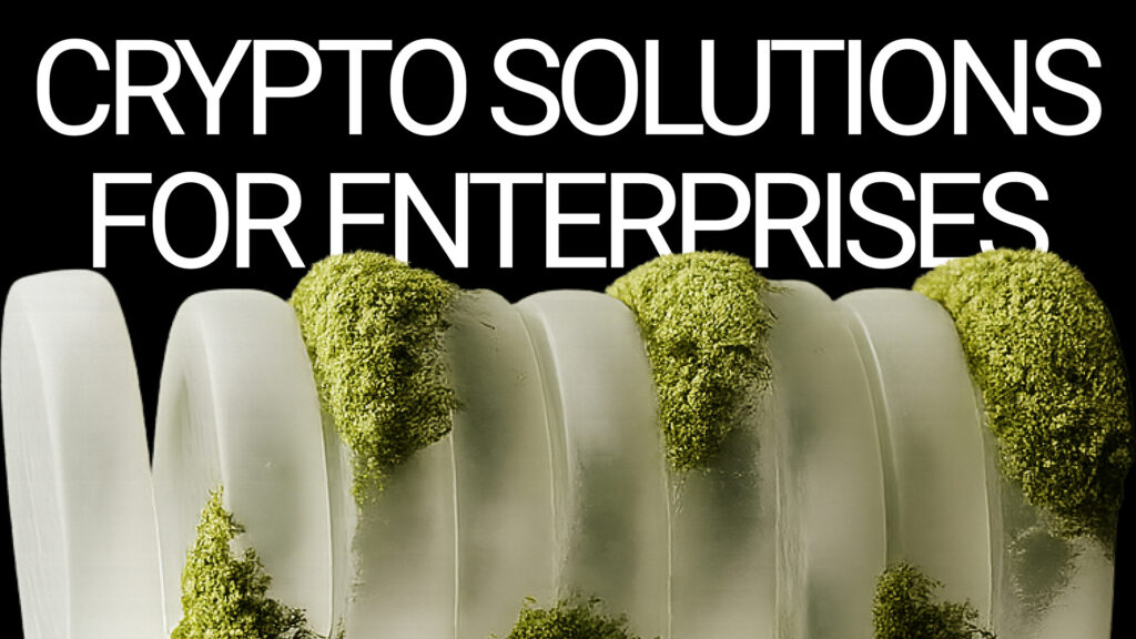 ChangeNOW – Offering Streamlined Crypto Solutions for Enterprises