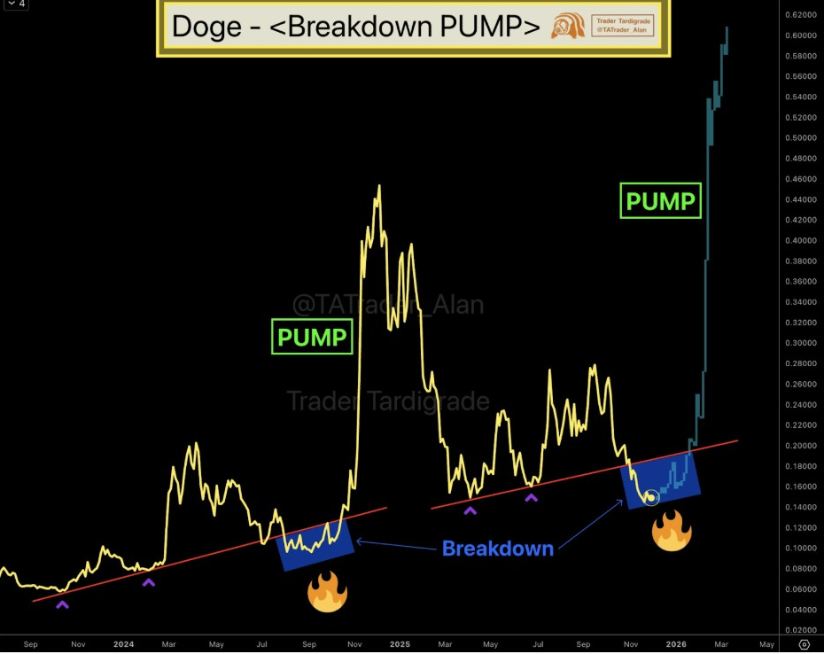 DOGE Breakdown Pump | Source: Tardigrade, X