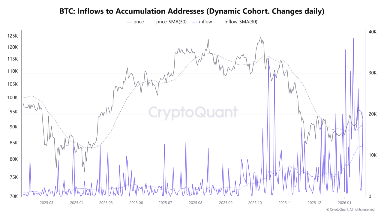Bitcoin inflow accumulation address | Source: CryptoQuant