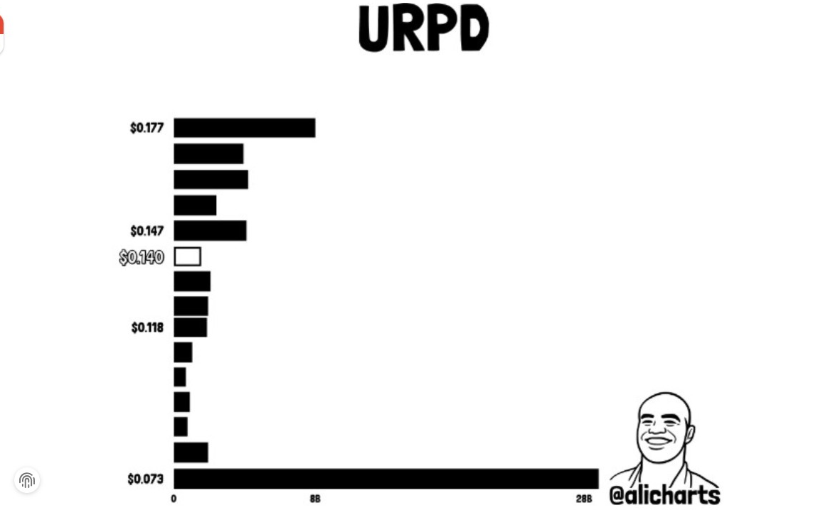 DOGE URPD Chart | Source: X