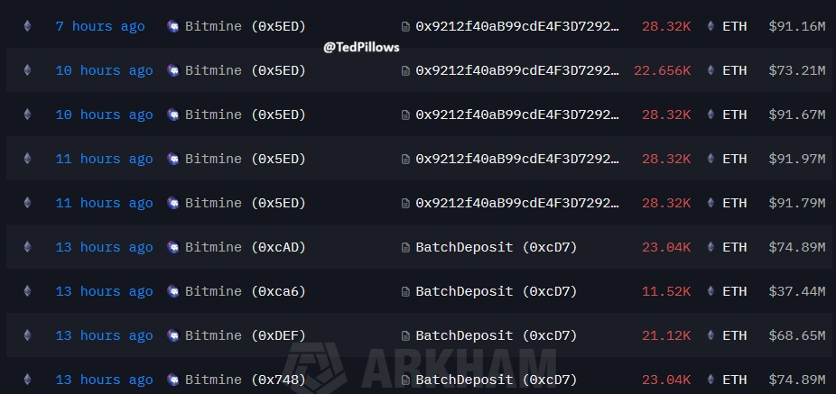 BitMine staking data | Source: Arkham