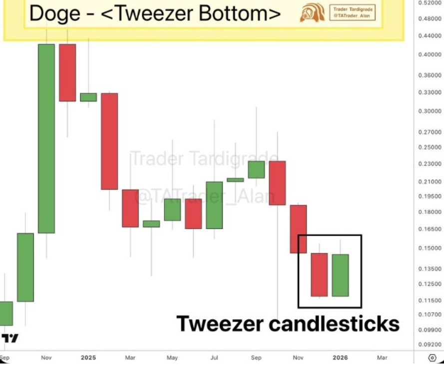 DOGEUSD 1-Month Chart | Source: X