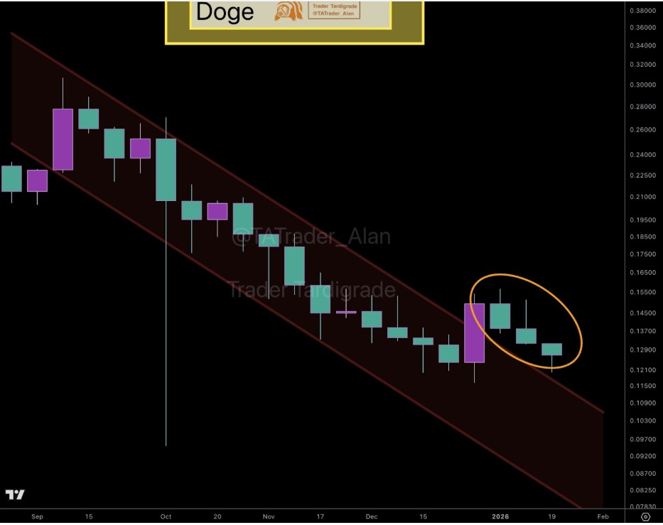 DOGEUSDT Gráfico Semanal | Fuente: Tardigrade, X