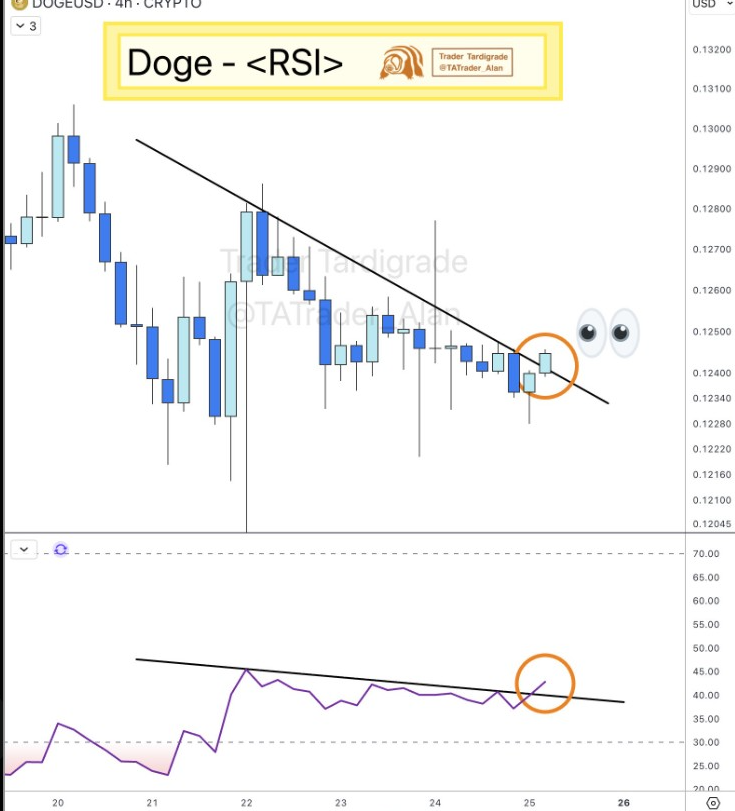 DOGE RSI Indicator | Source: Tardigrade, X