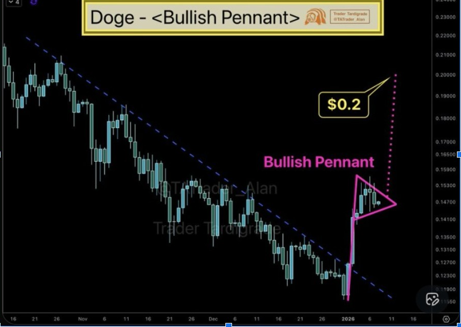 DOGEUSD 1-Day Chart | Source: X