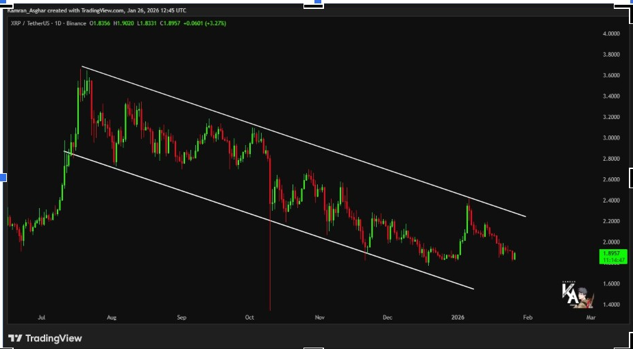 XRPUSDT Daily Chart | Source : Kamran Asghar, X