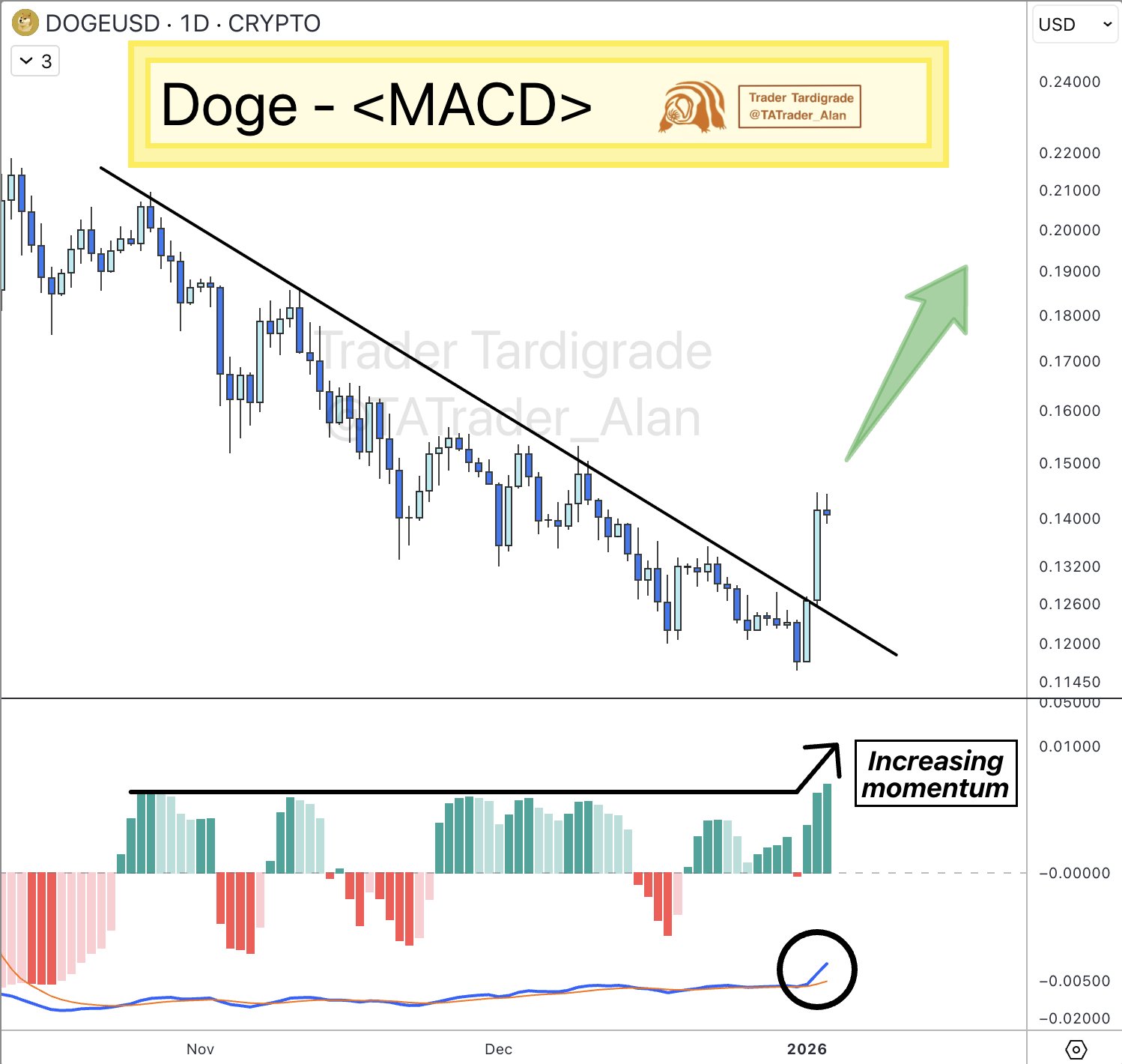 Acción del precio de Dogecoin en un gráfico diario | Fuente: Trader Tardigrade/X
