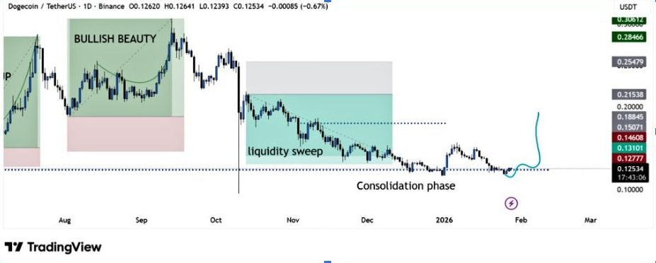DOGEUSDT Daily Chart | Source: BitGuru, X