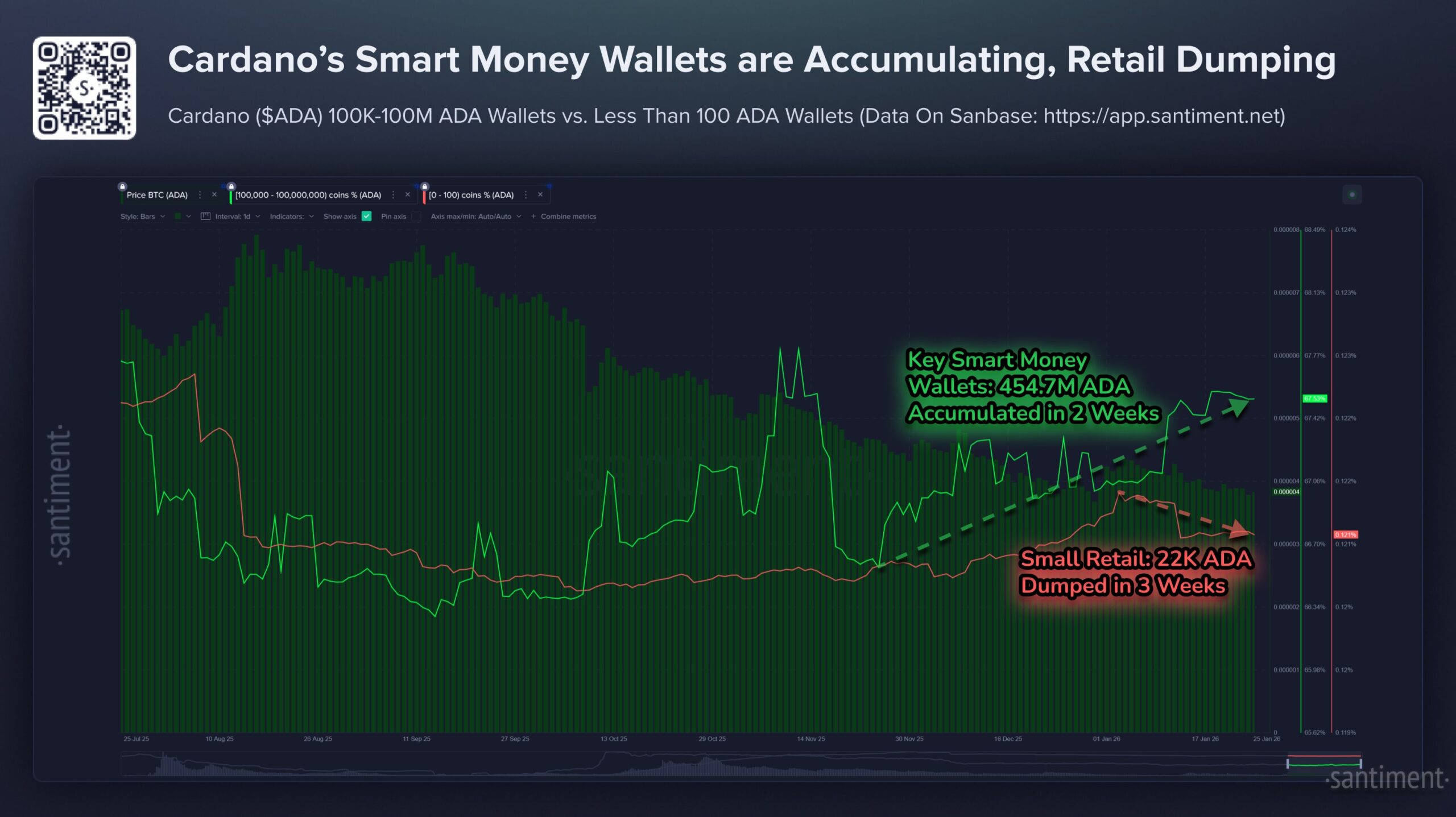 Acumulación del monedero Cardano Whale | Fuente: Cardano