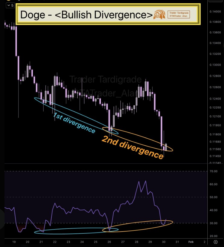 DOGE 4H Chart | Source: Tardigrade, X