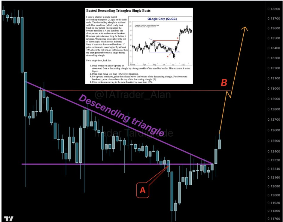 DOGEUSD 4-H Chart | Source: Tardigrade, X