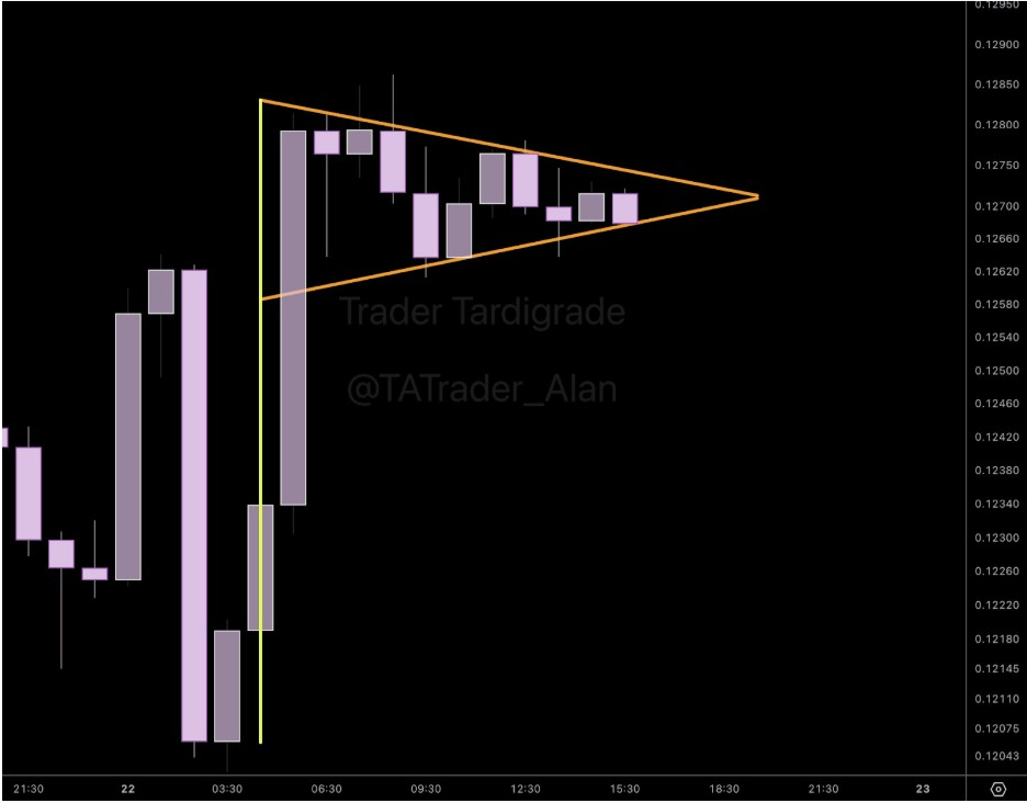 Gráfico DOGE Bull Pennant | Fuente: Tardigrade, X