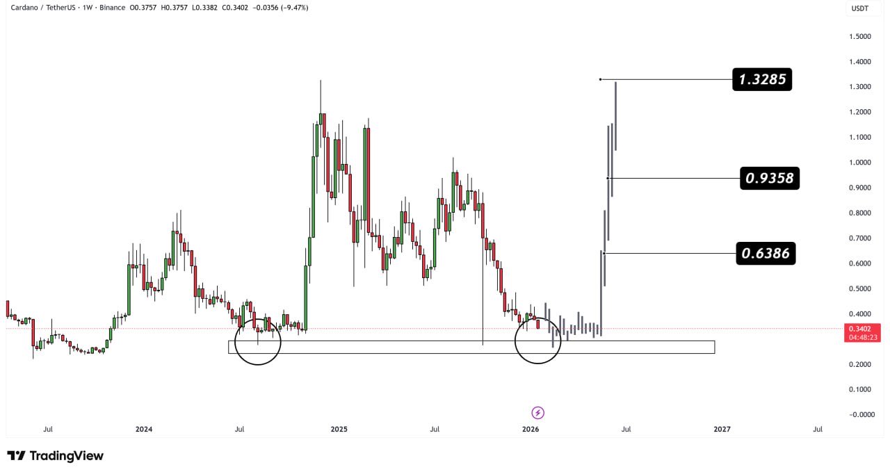 Zona de soporte del precio de Cardano | Fuente: TradingView