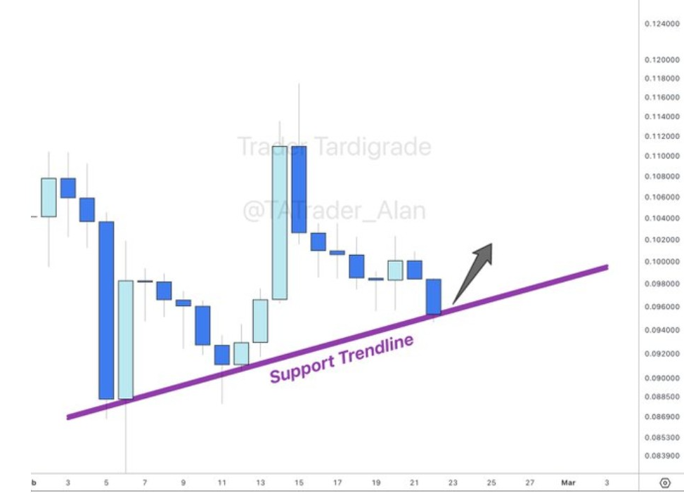 DOGEUSD 1D CHART | SOURCE: X