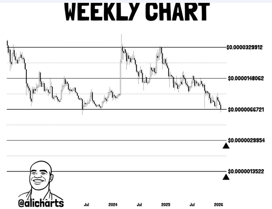 SHIB Gráfico Semanal | Fuente: Ali, X