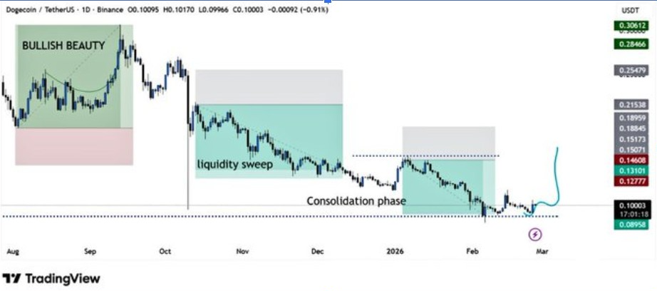 DOGEUSD 1D CHART | SOURCE: X
