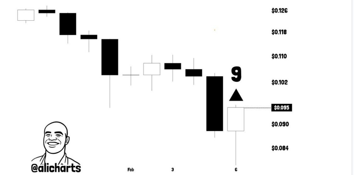 DOGE Daily Chart | Source: Ali, X