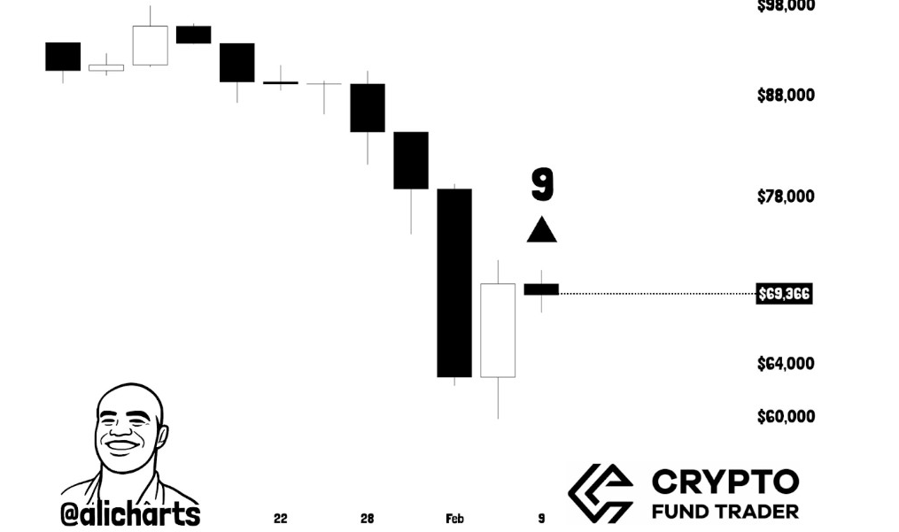 BTC 3-Day Chart | Source : Ali, X