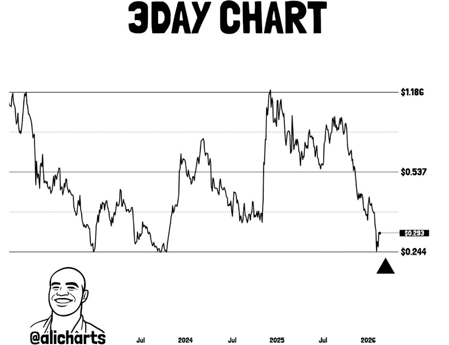 ADA 3-Tage-Chart | Quelle: Ali, X