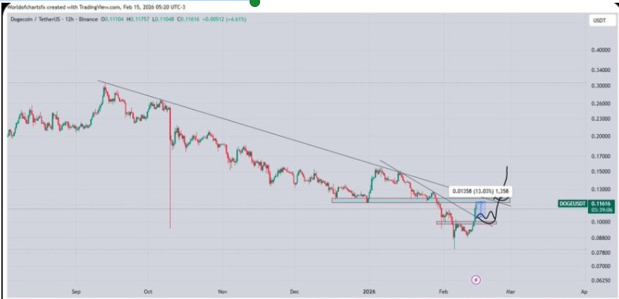 Gráfico de 12 horas del DOGEUSD | Fuente: X
