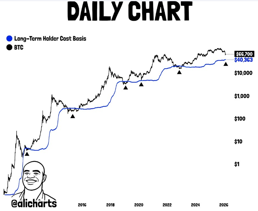 BTC Daily Chart | Source: Ali, X
