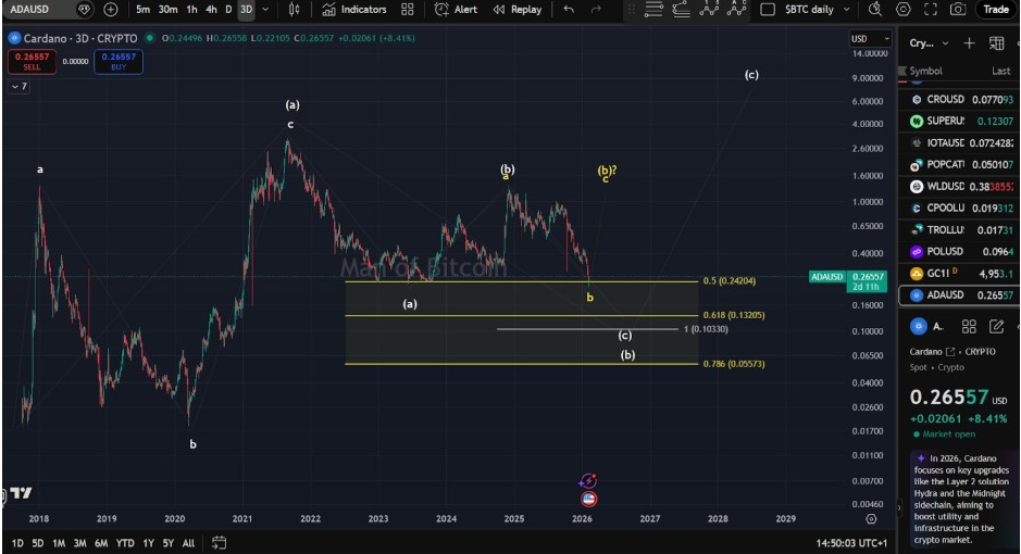ADA 3D Chart | Источник: Человек из Биткойна, X