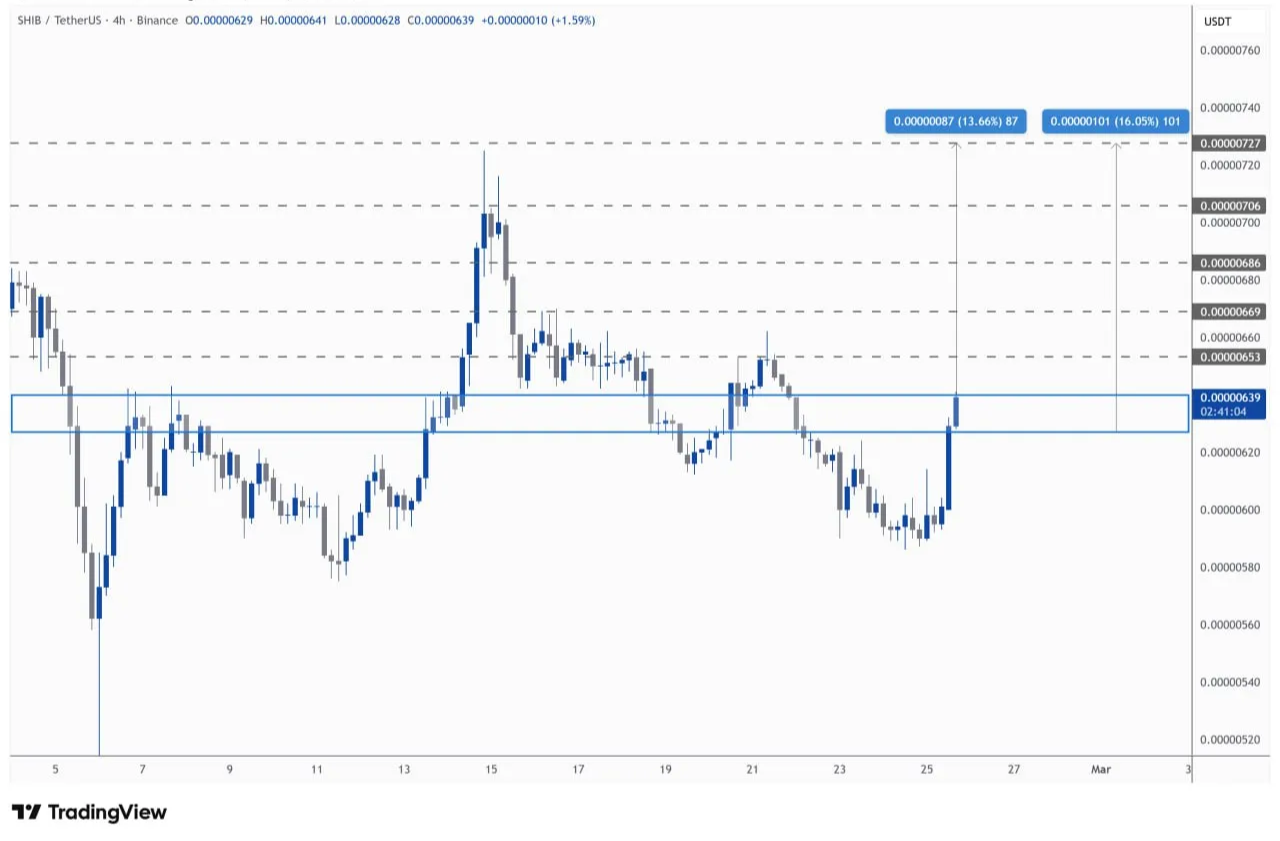 Gráfico de acción del precio de SHIB/USDT | Fuente: TradingView